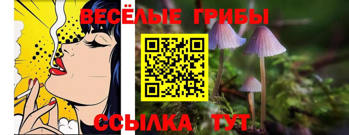 Псилоцибиновые грибы MAGIC MUSHROOMS Губкинский